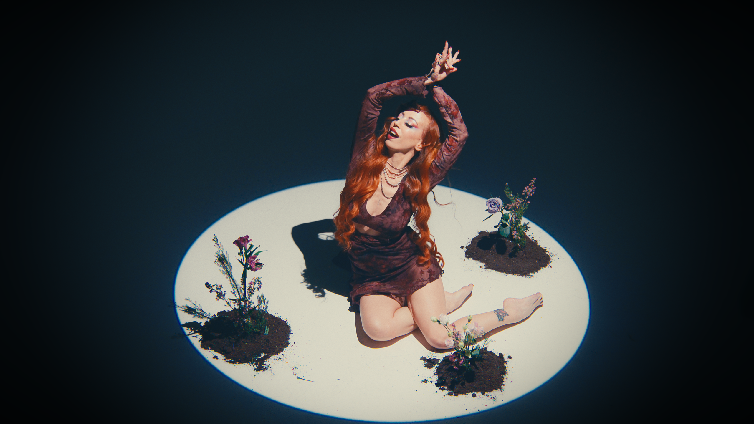 frame final polvo astroqueen 4.53.1 scaled
